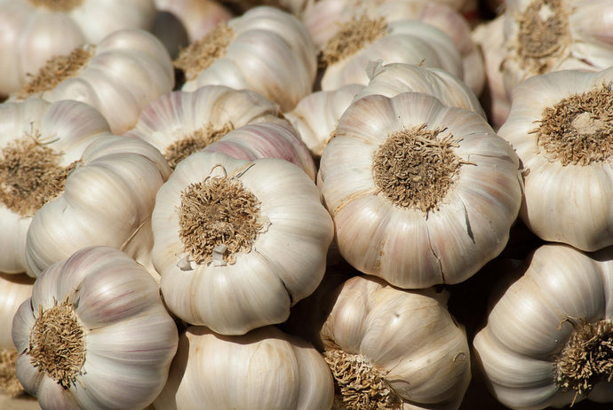How to Use Garlic to Treat a Yeast Infection at Home